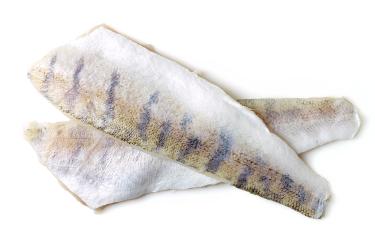 Candát, filet