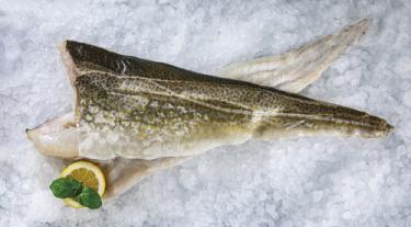 Treska obecná, filet
