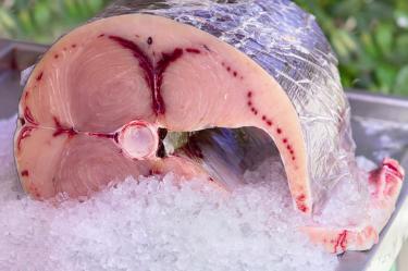 Mečoun Sashimi