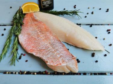 Okounik morsky (RED FISH), filet 