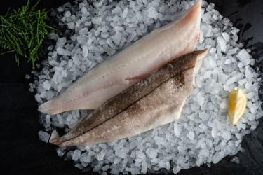 Treska Haddock, filet