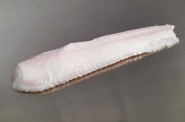Sumec mořský, svíčková