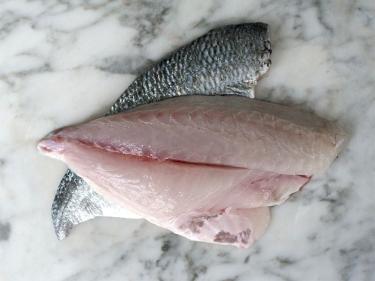 Pražma královská, filet