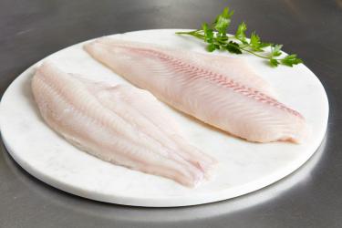 Sumec mořský/Vlkouš obecný - Cat fish, filet