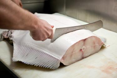 Halibut, filet