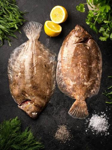 Platýs červený ,,Lemon sole” celý